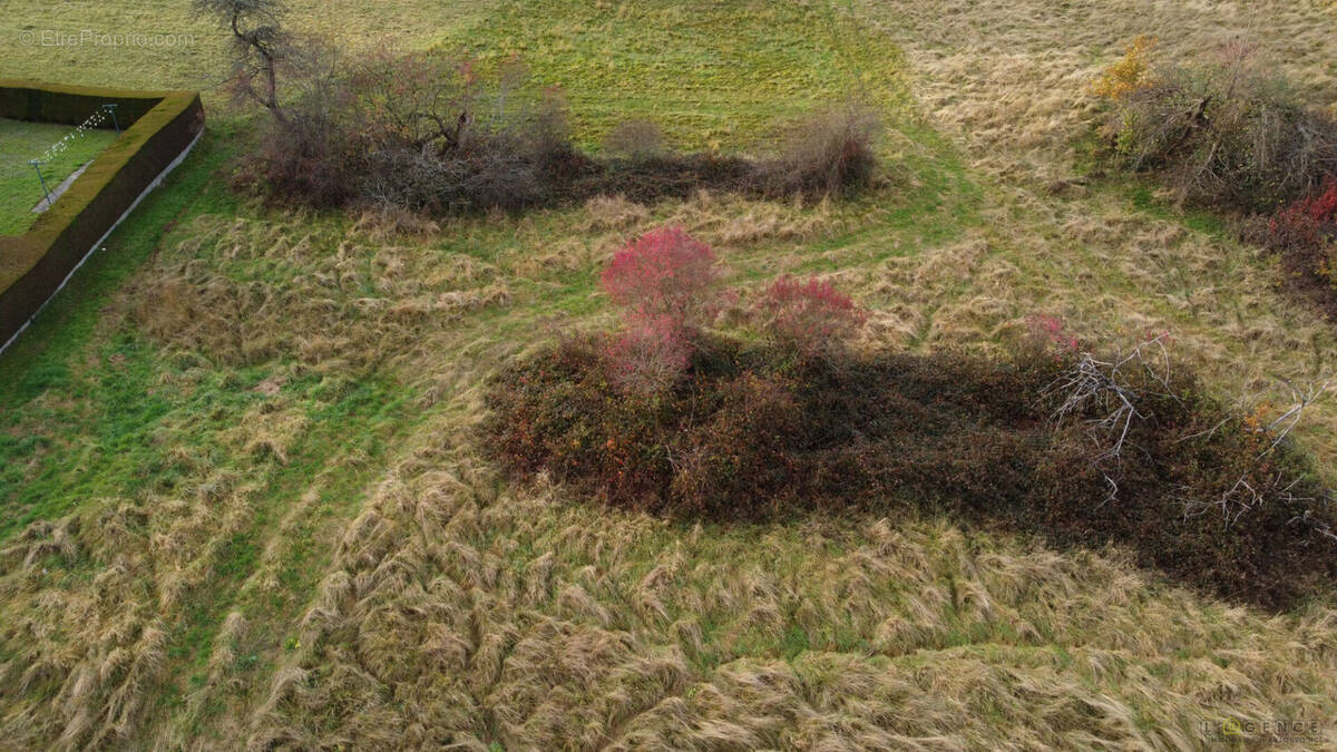 Terrain à SAINT-DIE-DES-VOSGES