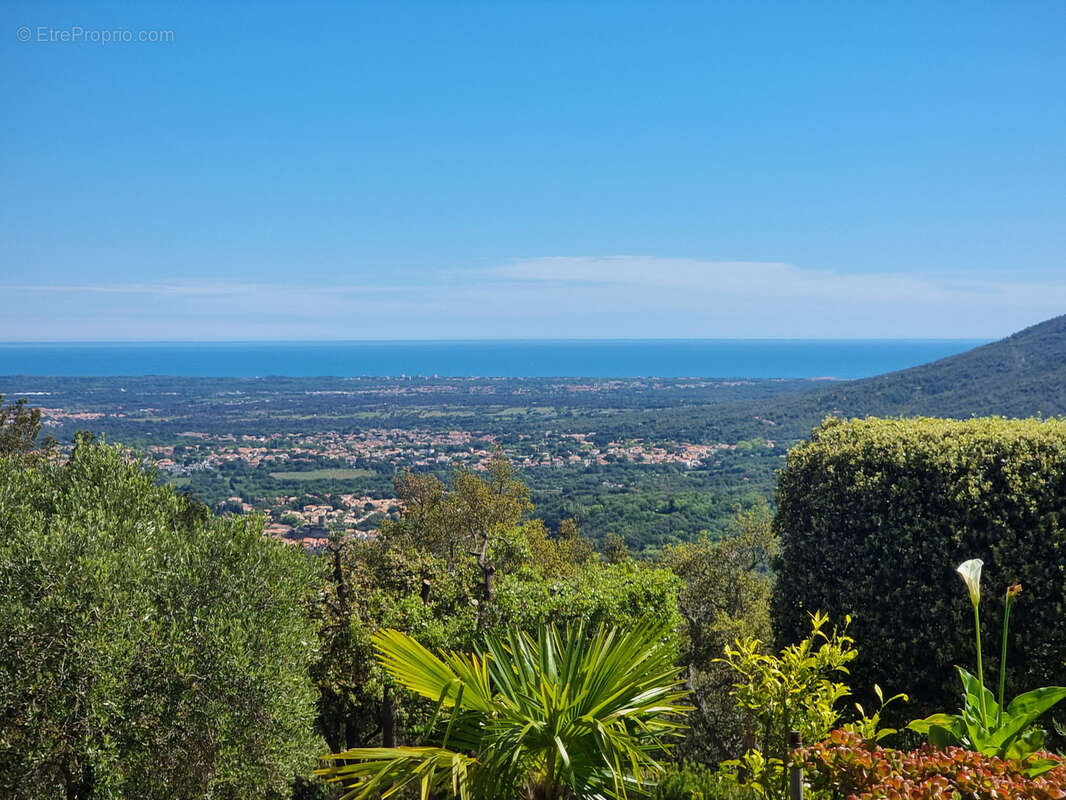 Maison à LAROQUE-DES-ALBERES