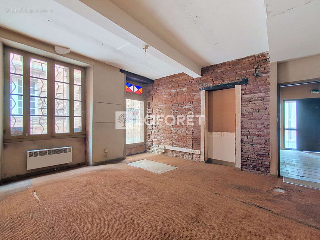 Maison Villemur Sur Tarn 10 pièce(s) 250 m2 - photo 2