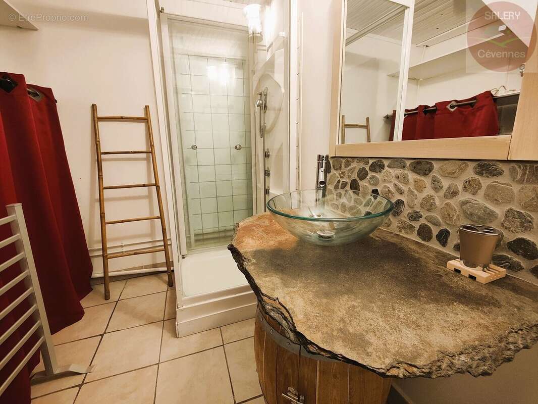 Maison à SAINT-ANDRE-DE-VALBORGNE