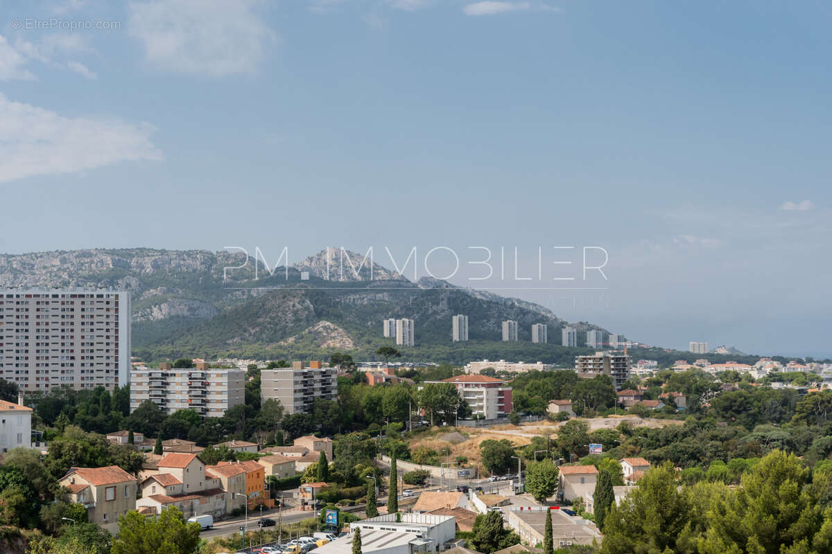 Panorama valmante - photo 14