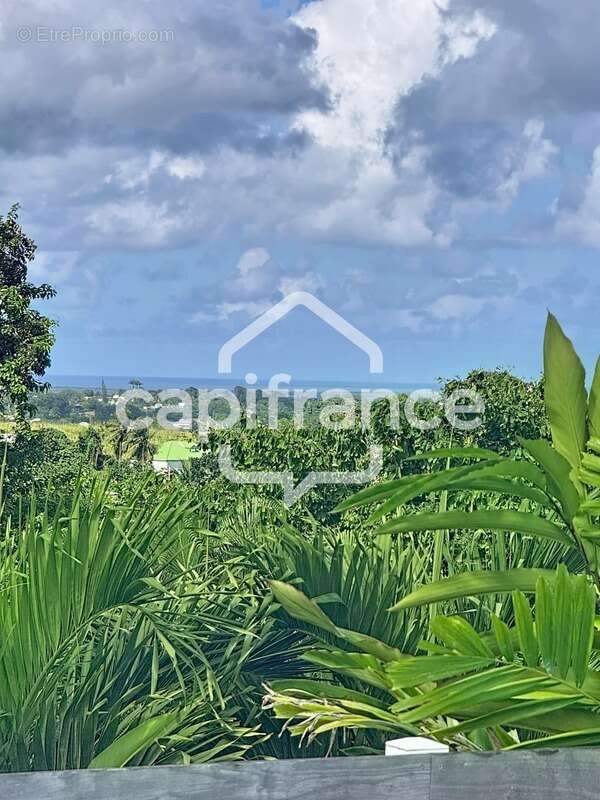 Maison à PETIT-BOURG