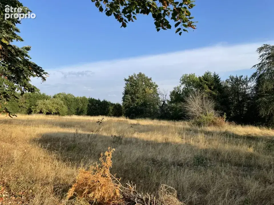 Terrain à MAZAMET