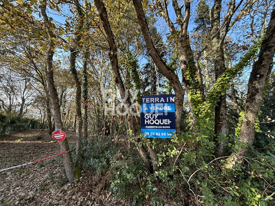 Terrain à PARENTIS-EN-BORN