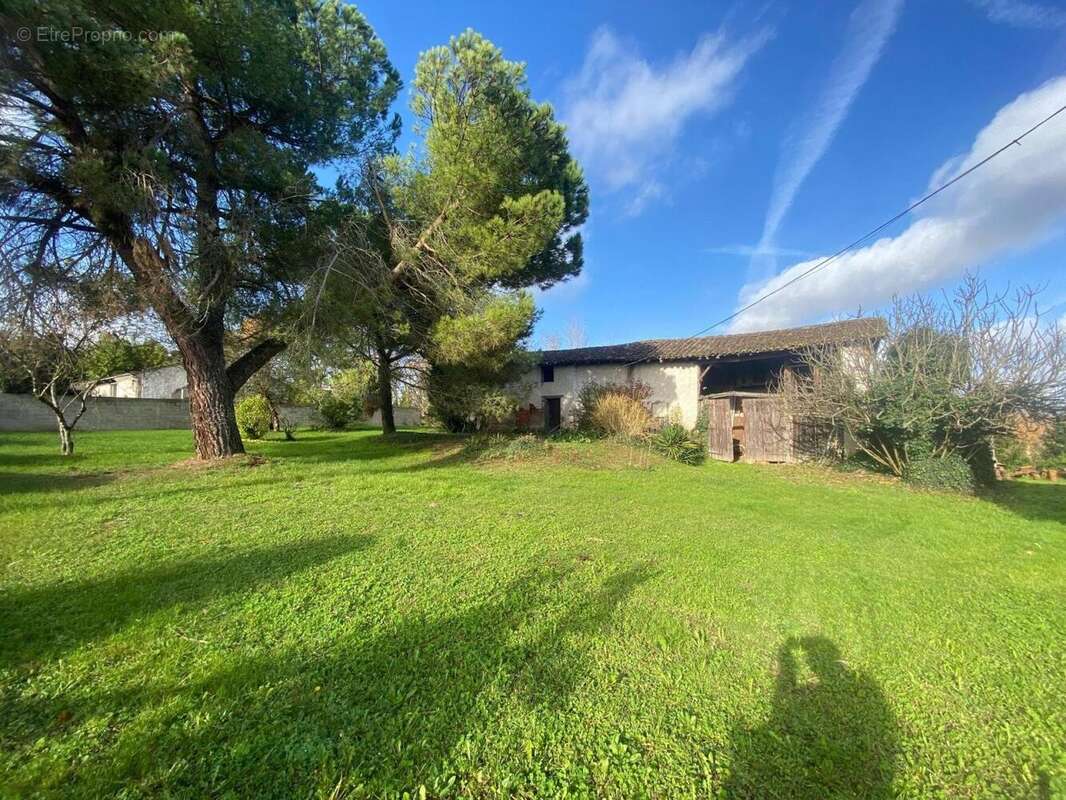 Photo 7 - Maison à SAINT-NICOLAS-DE-LA-GRAVE