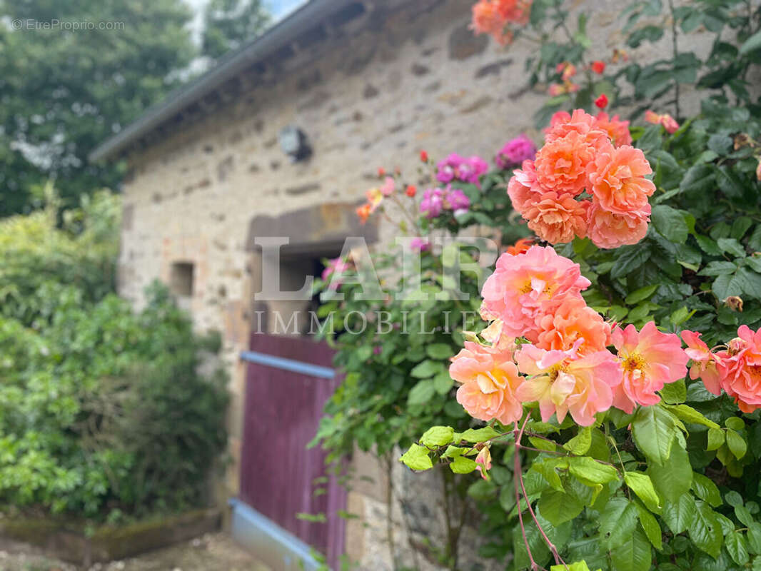 Maison à ASSE-LE-BOISNE