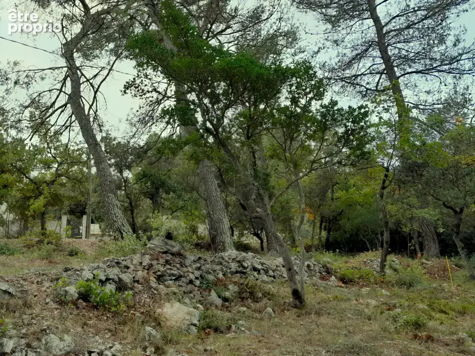 Terrain 600 m² à vendre à Saint-Maximin-La-Sainte-Baume (83470) - photo 4