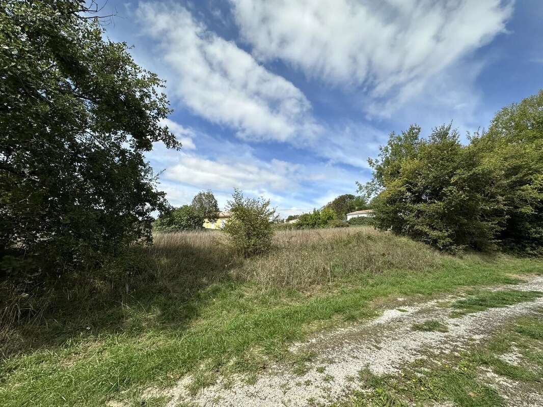 Terrain à CASTRES