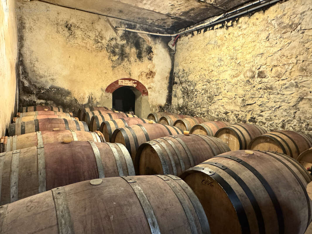 Domaine sur 13 hectares au coeur des dentellles de montmirail - cru gigondas - photo 7