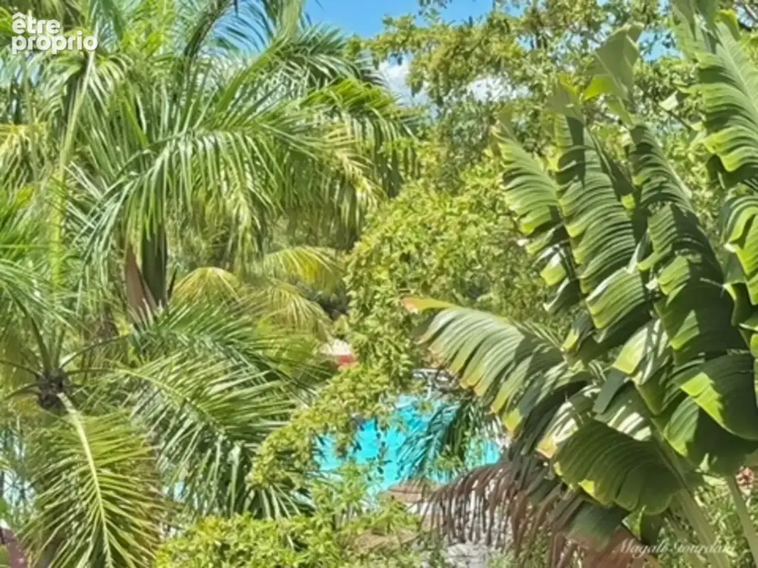 A vendre – deux studios renoves et communicants – jusqu’a 8 personnes – sainte-anne - photo 2