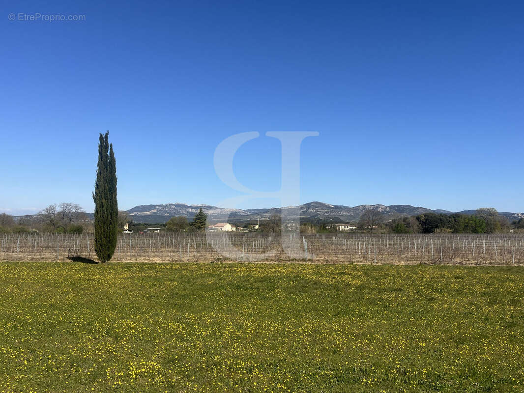 Maison à CARPENTRAS