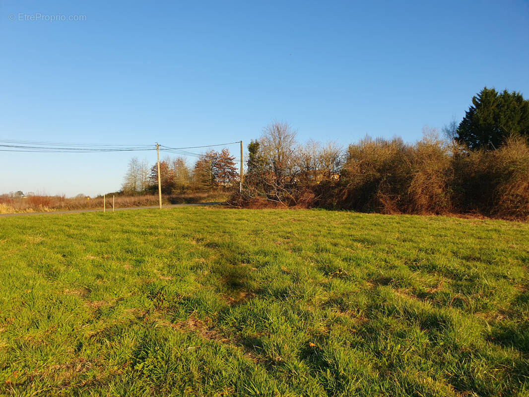 Terrain à SAINT-SEVER