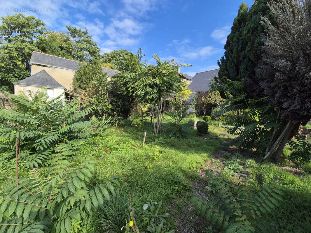 Maison à SABLE-SUR-SARTHE