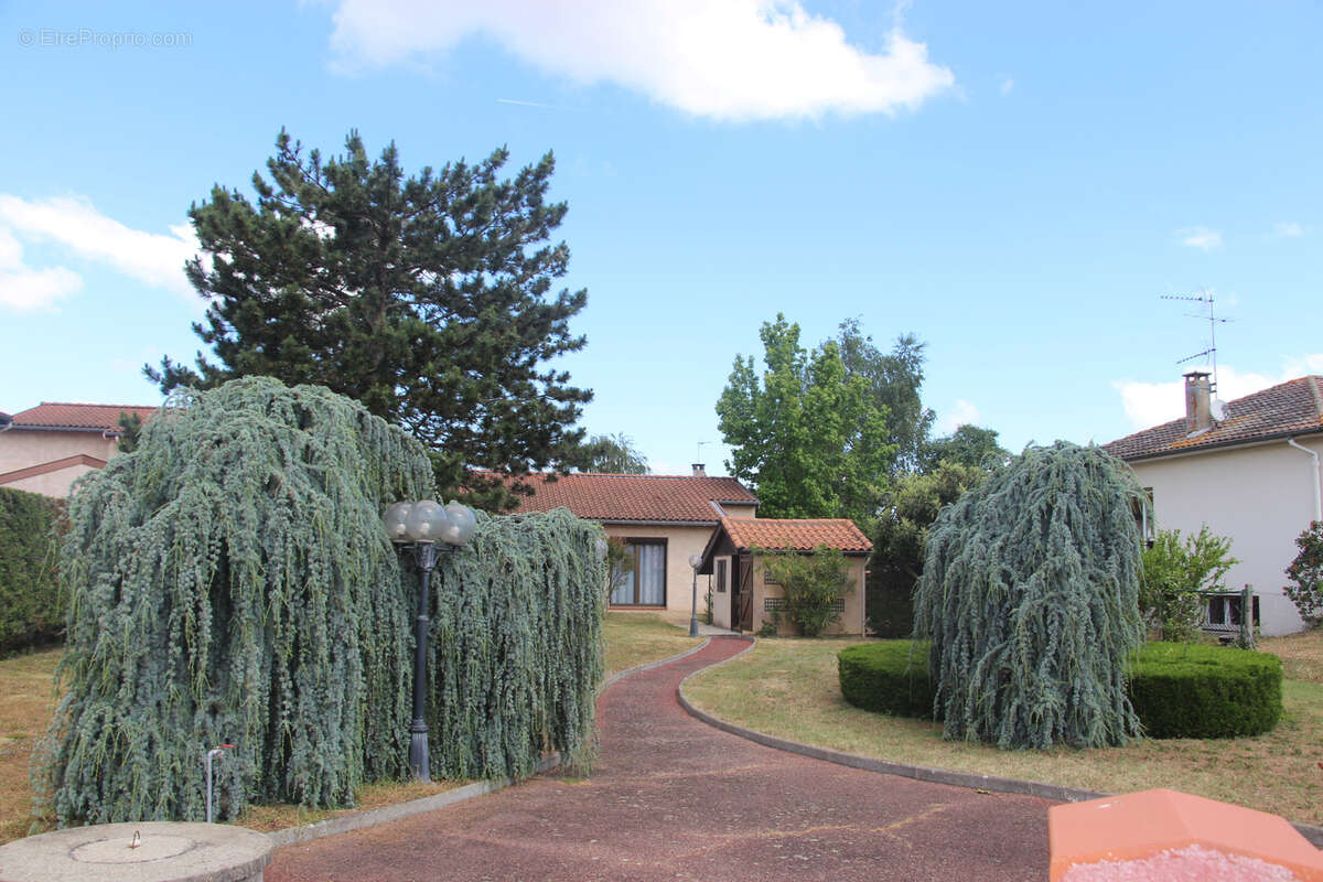 Terrain à AUCAMVILLE