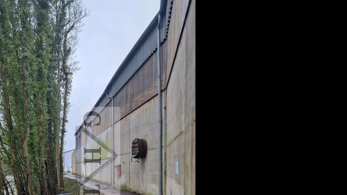 Commerce à POMMEUSE