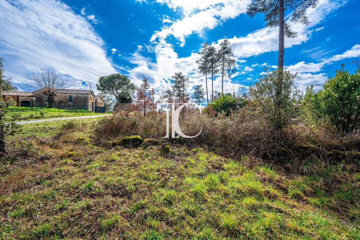 Terrain 9650m² situe plein sud - photo 8