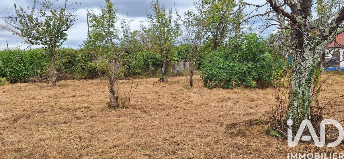 Photo 1 - Terrain à MOSNAY