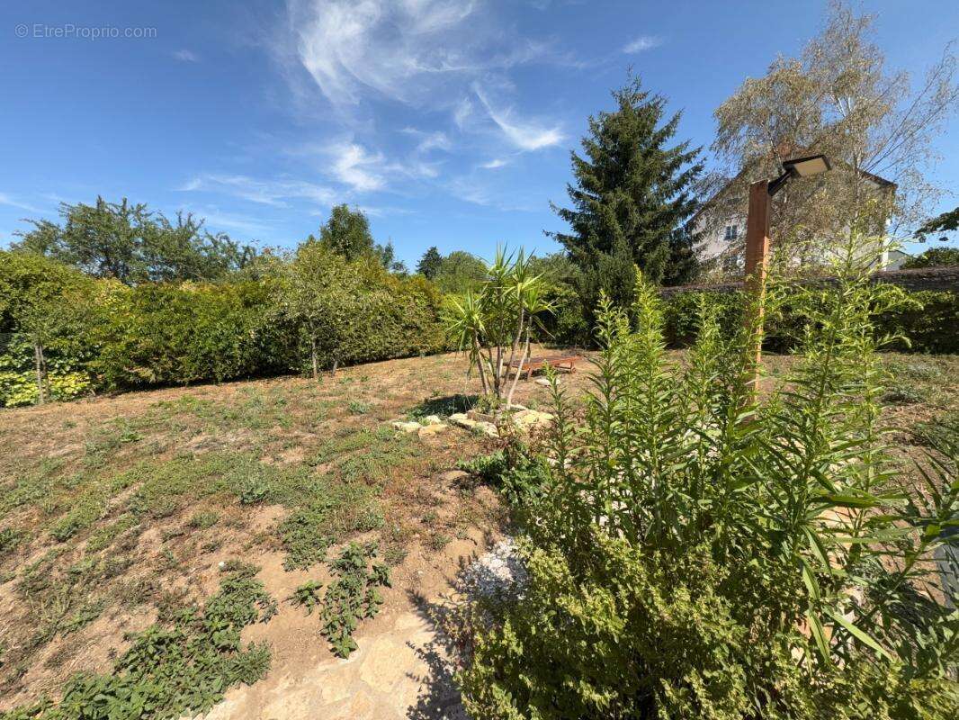 Maison en pierre avec 350 m² de dépendances, jardin et terrasse – Genevrières (52) - photo 3