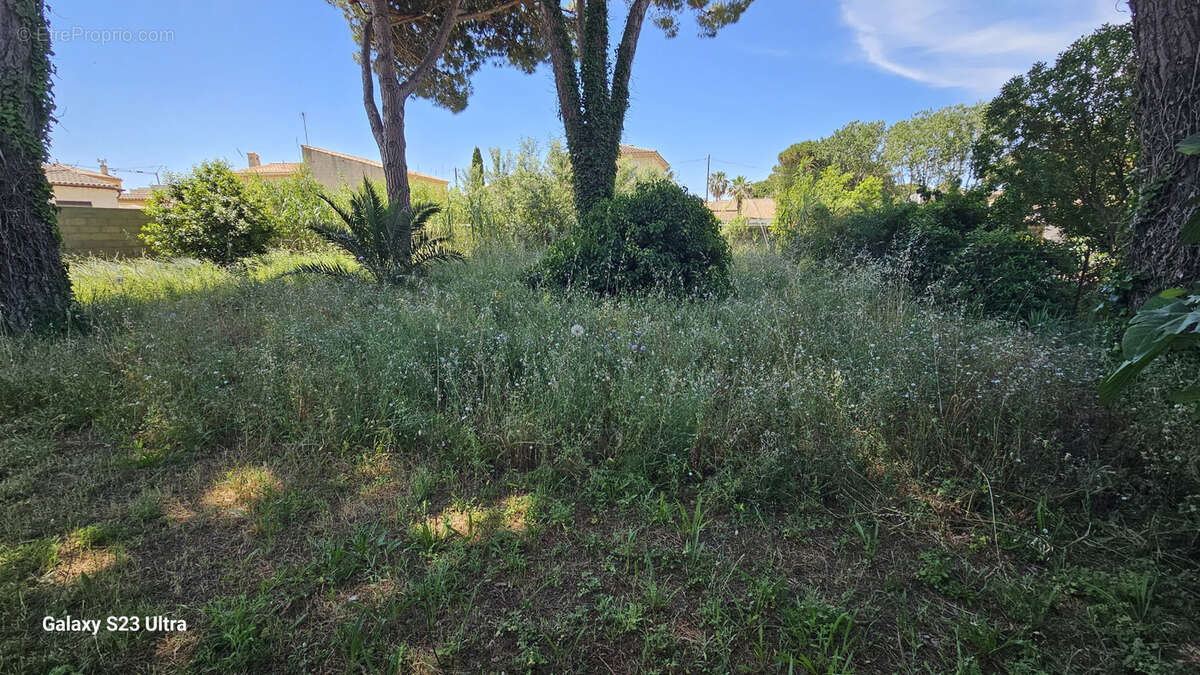 Terrain à AGDE