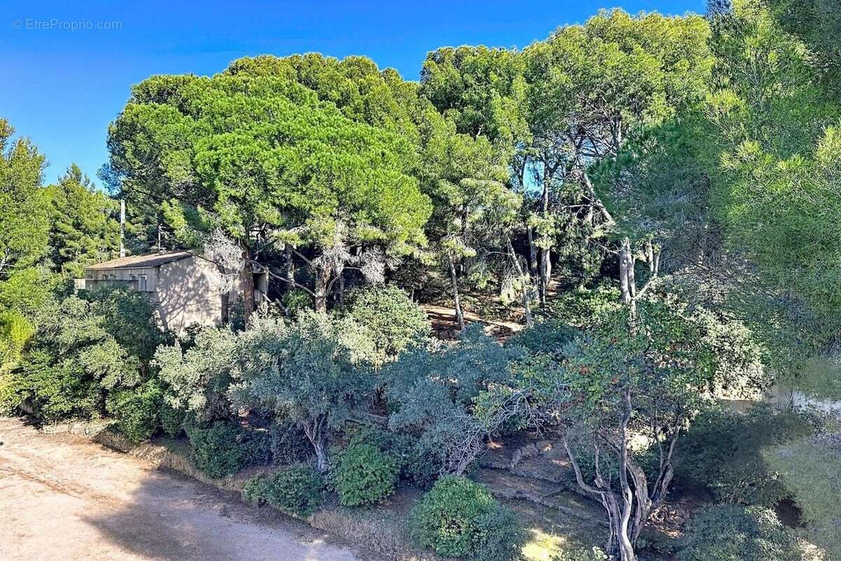 Photo 9 - Appartement à BANDOL