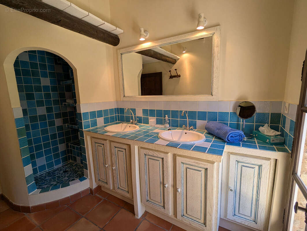 MOISSAC BELLEVUE, superbe mas renové sur 9530 m2 de terrain. - photo 13