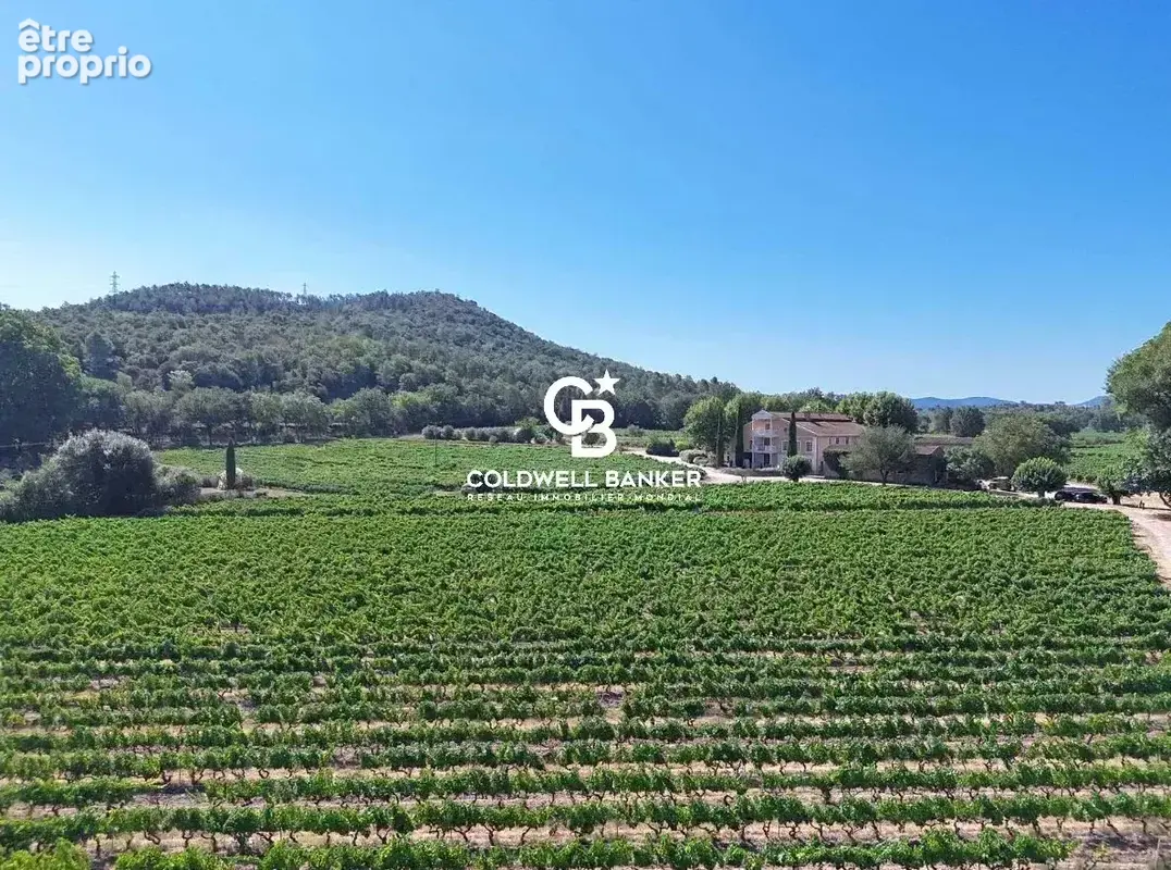 Château Les Apiès : Exclusivité d'un Actif Viticole et Foncier Intégré - photo 4