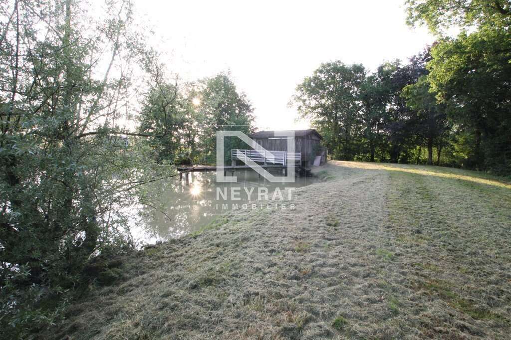Etang avec sources - photo 15