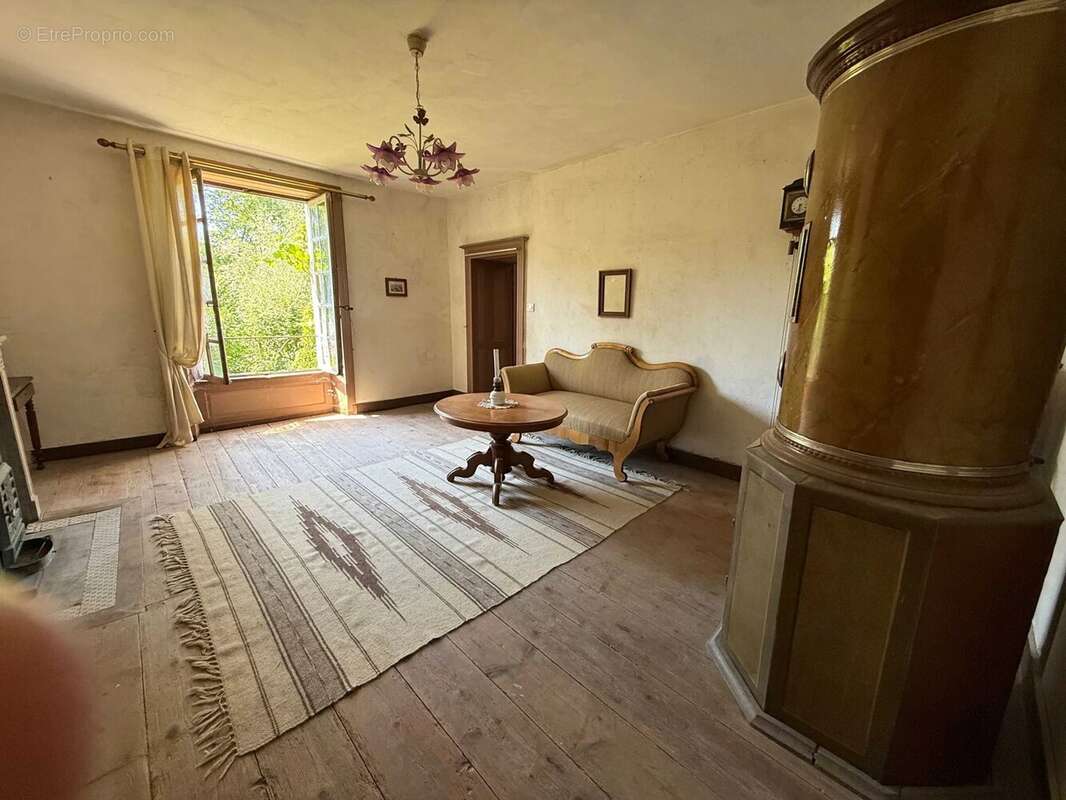 Magnifique manoir original dans un grand village avec toutes les commodités, situé au bord de la Saône - photo 9