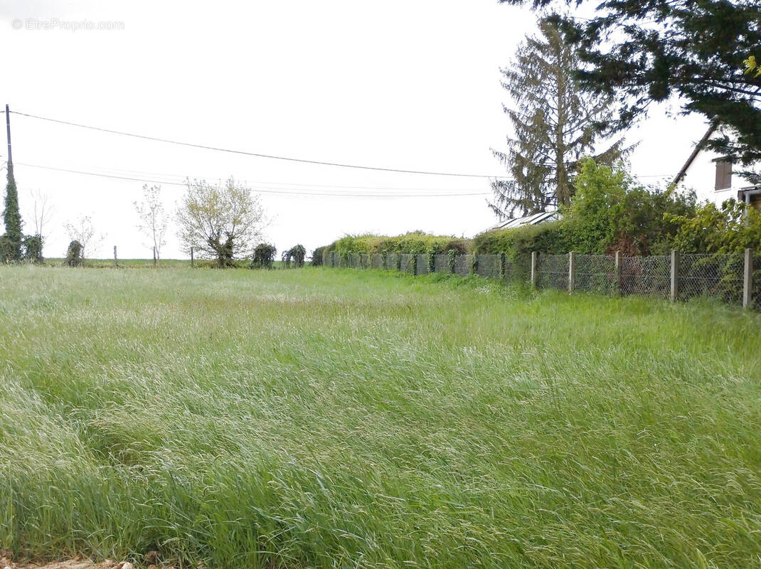 Terrain à TRIZAY-LES-BONNEVAL