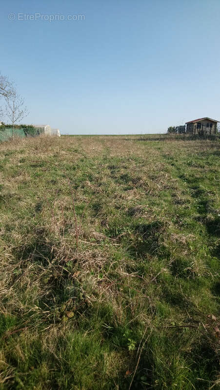 Terrain à MAINTENON