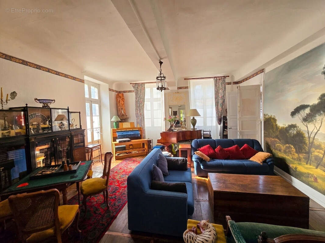 Photo 5 - Maison à SALIES-DE-BEARN