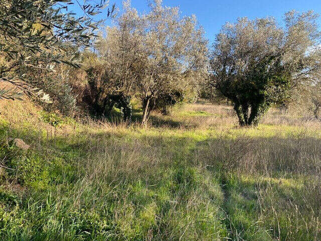 Terrain à DRAGUIGNAN
