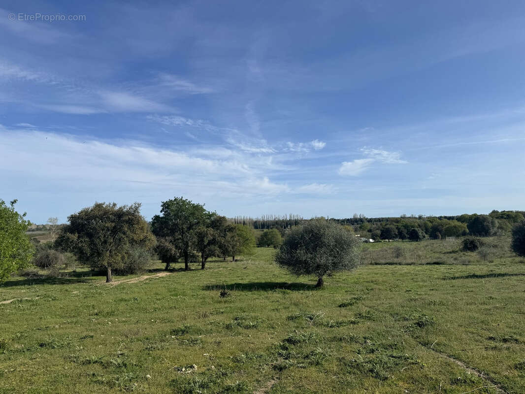 Terrain à ALERIA
