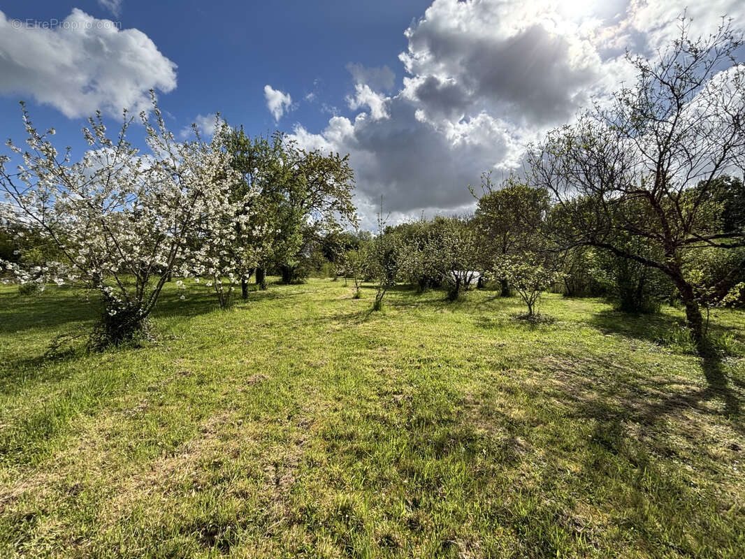 Terrain à SAINT-GENOUPH