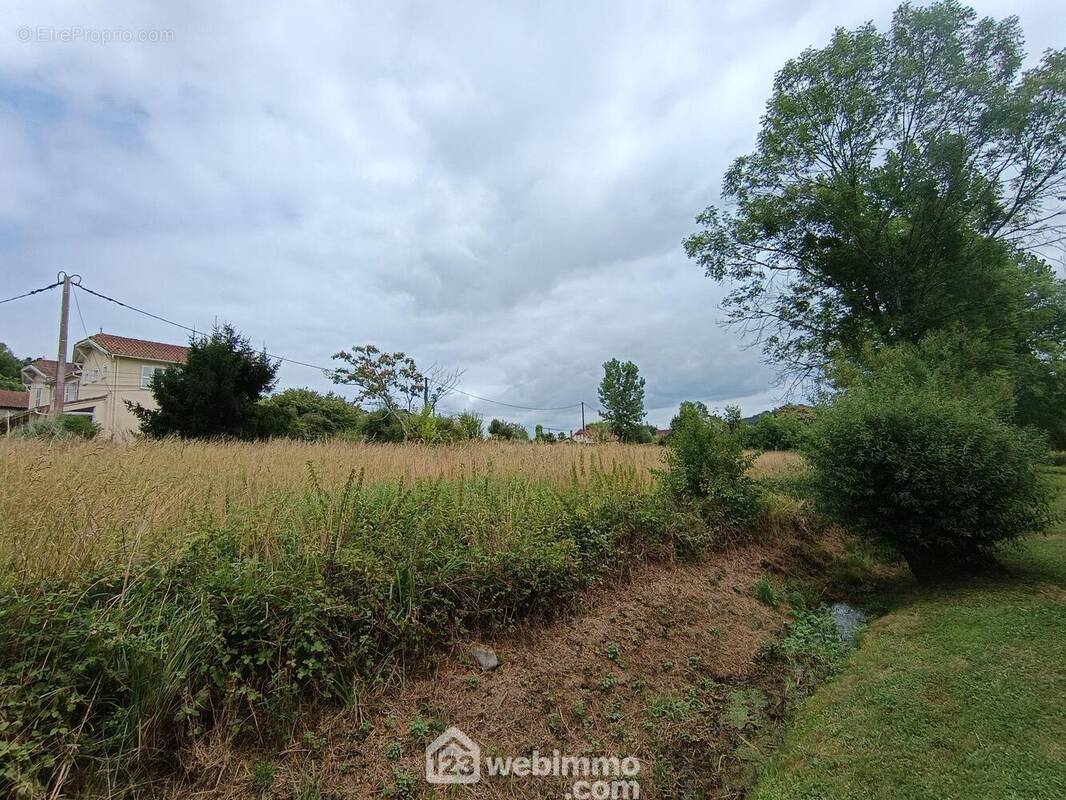 Terrain 1000 m² à Casteide-Candau  - photo 4