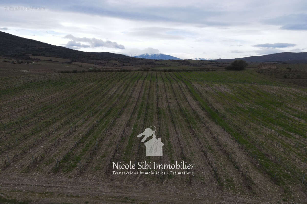 Terrain à MONTNER