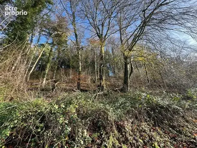 Terrain 8471 m² à La Vespiere  - photo 5