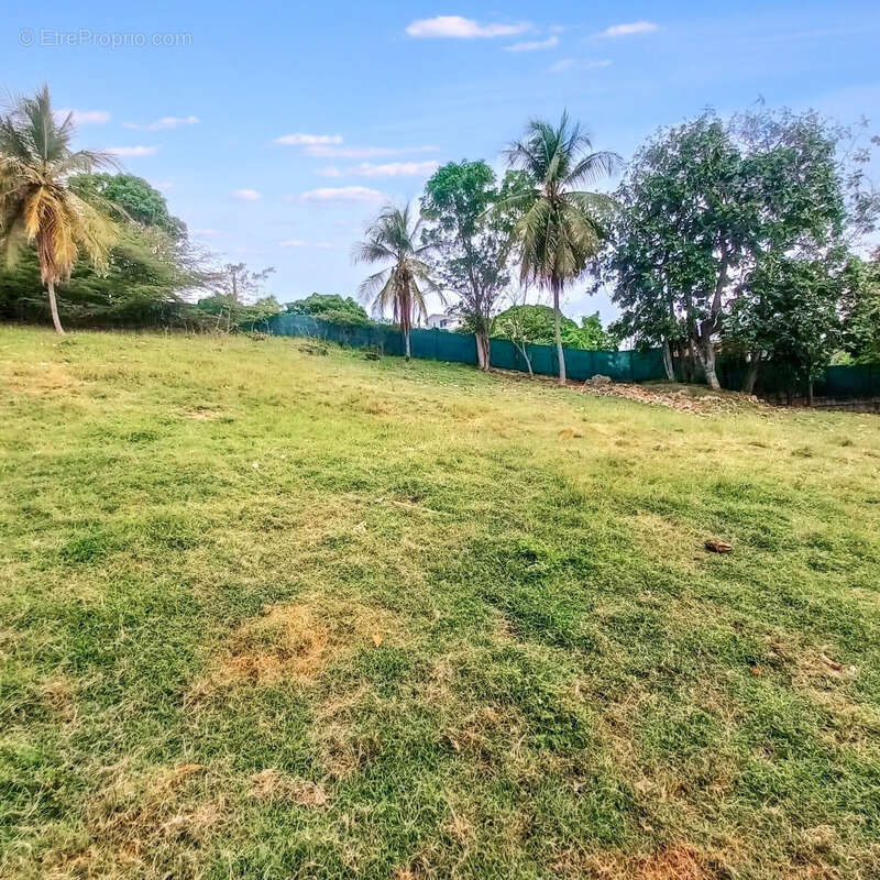 Terrain à LE GOSIER