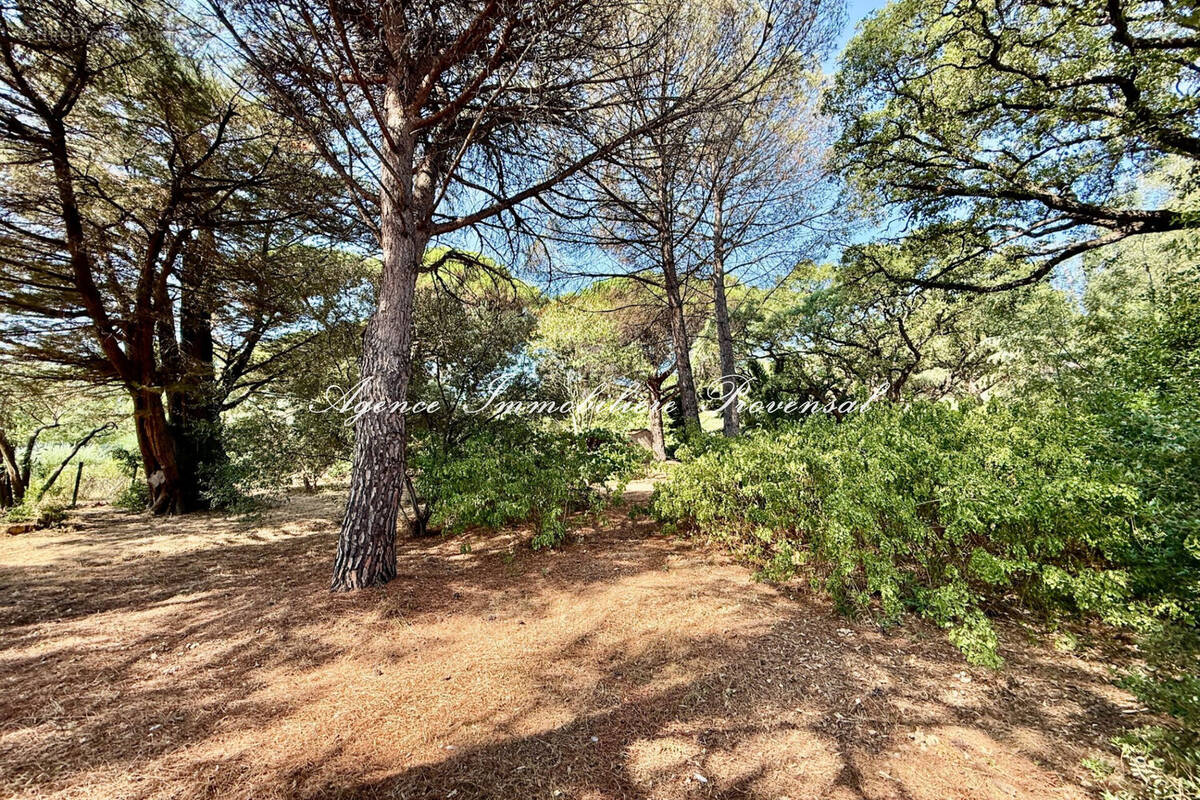 Terrain à SAINTE-MAXIME