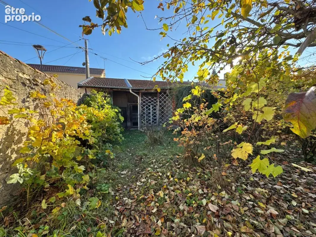 Maison de caractère du XIXe siècle (1850) sur une parcelle de 466 m²  BLAINVILLE SUR L'EAU (54) - photo 24