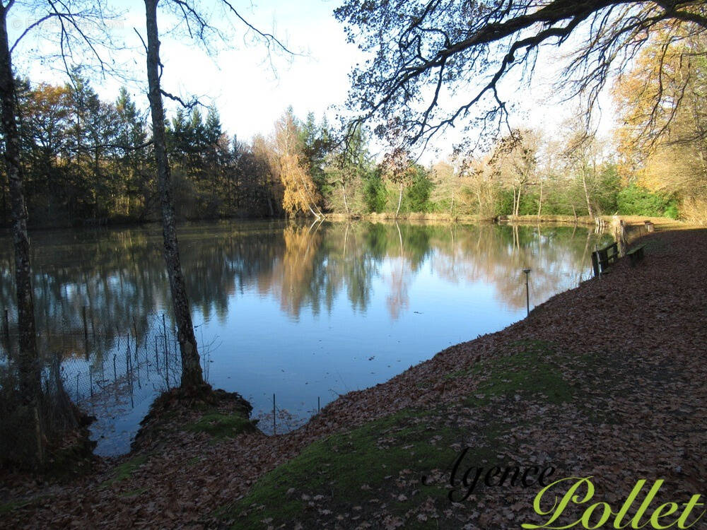Terrain à VAILLY-SUR-SAULDRE