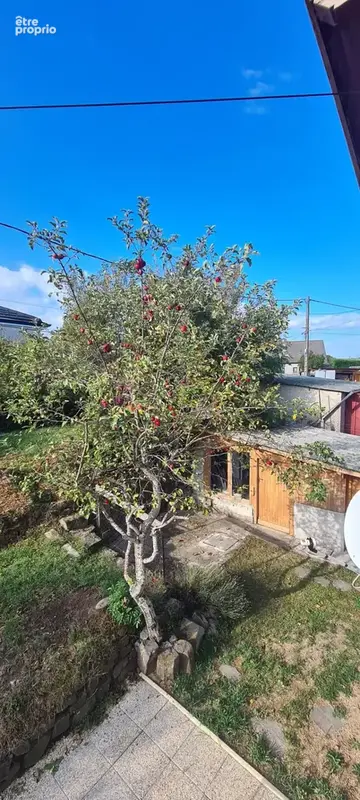 Une belle surprise à découvrir à l’intérieur ! - photo 25
