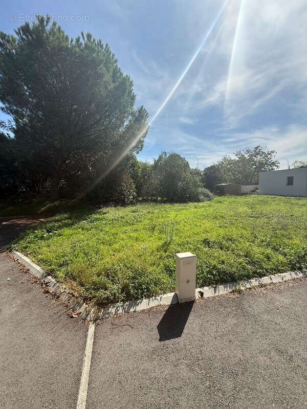 Terrain à TOURNEFEUILLE