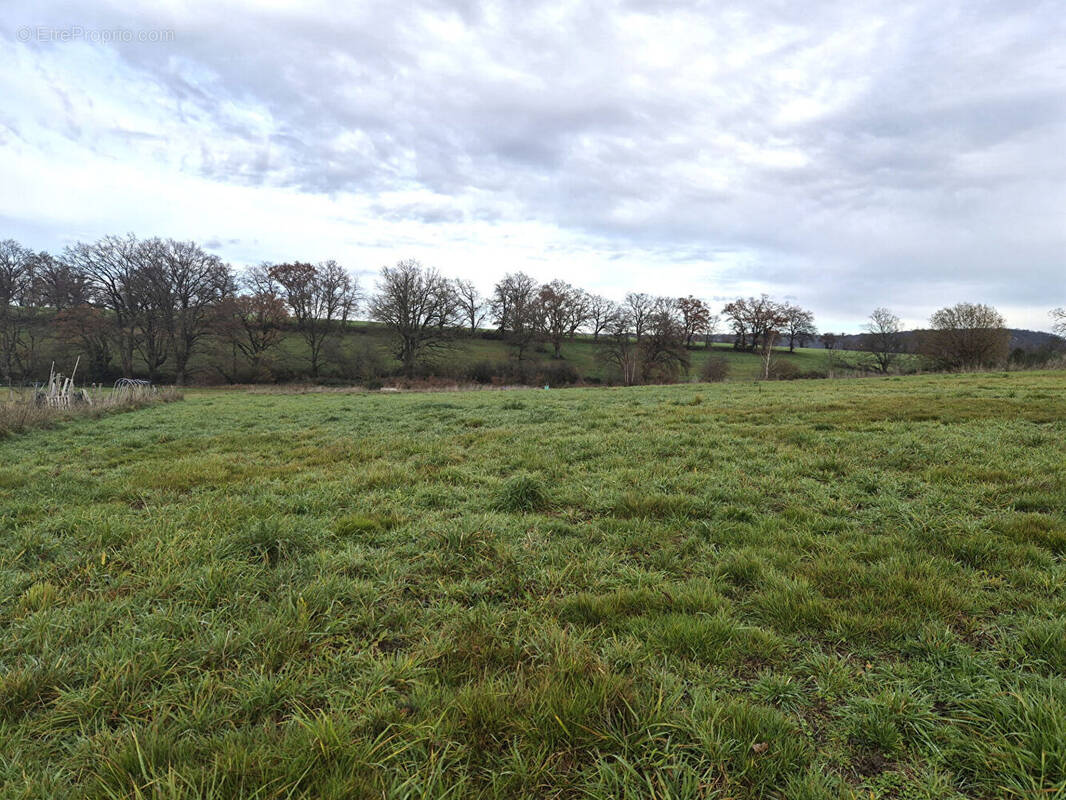 Terrain à SAINT-VICTOR
