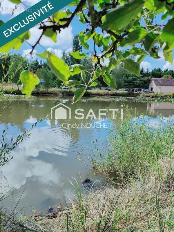 Terrain 9262 m² à Noyen-Sur-Sarthe  - photo 6