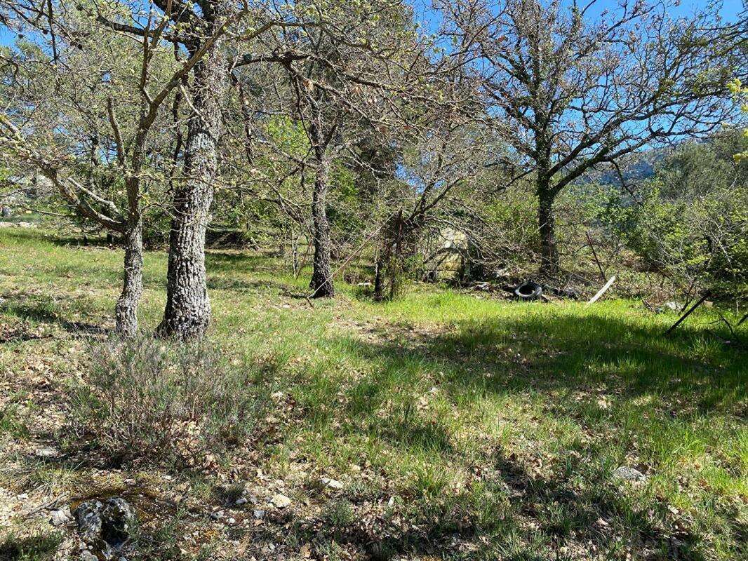 Terrain  2000 m2 TAL Compteur d eau Raccorde au TAL - photo 3