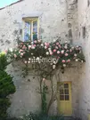 Maison à CHARROUX