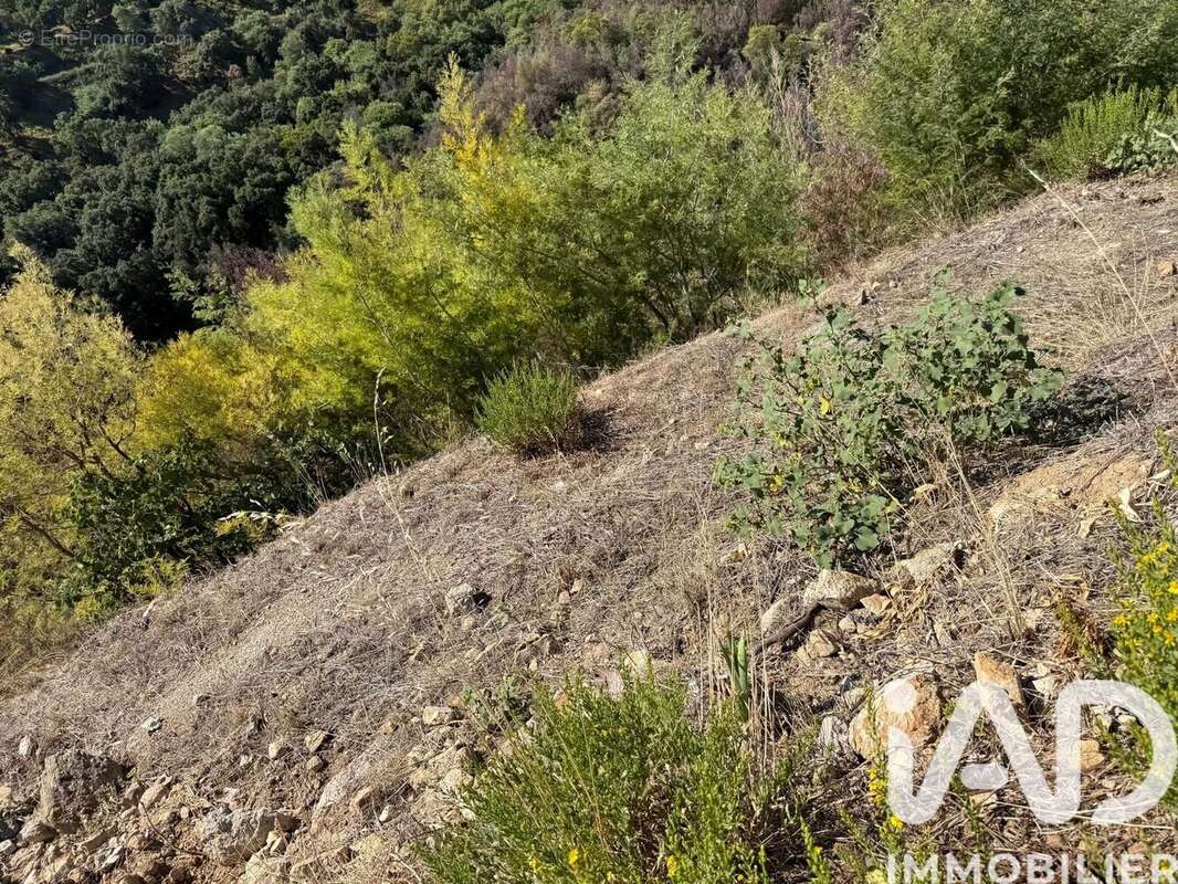 Photo 4 - Terrain à MANDELIEU-LA-NAPOULE