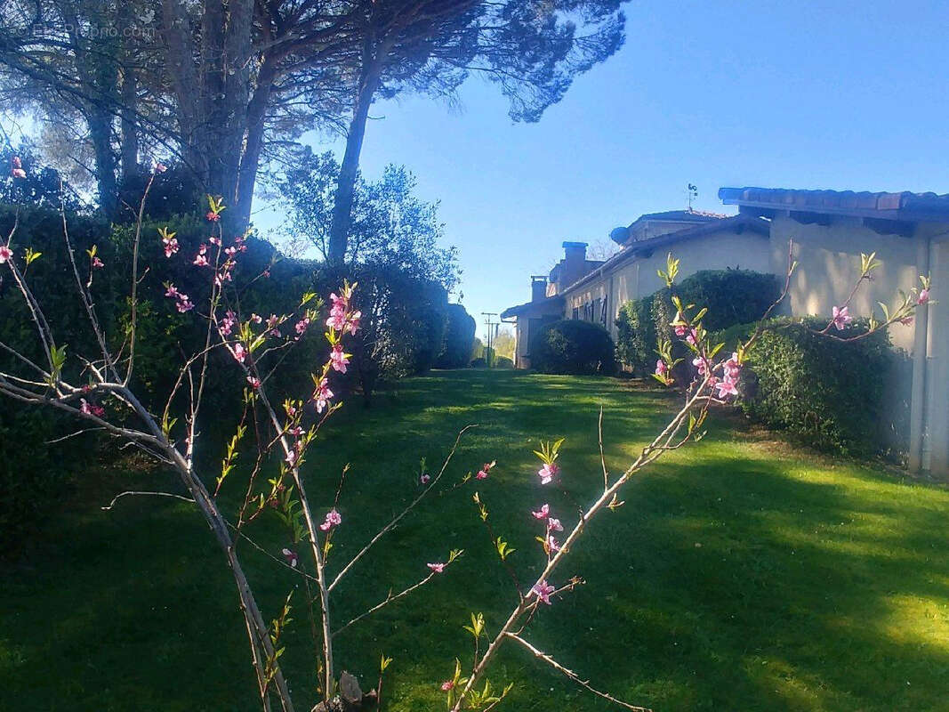 VENTE :   Domaine d'Exception à SARRAZIET - photo 13