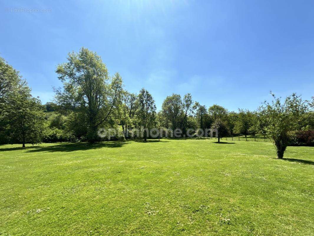 Propriété de caractère avec 2,5 hectares de parc, forêt et prairie – La Houblonnière – À 10 minutes de Lisieux - photo 4